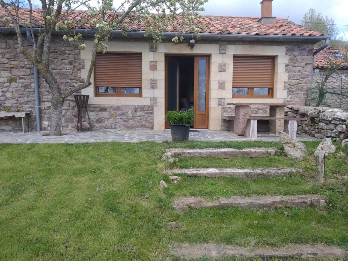 Casa Miguel Apartment Olea Екстериор снимка
