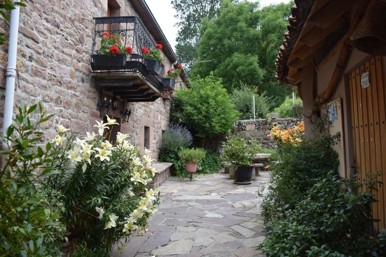 Casa Miguel Apartment Olea Екстериор снимка