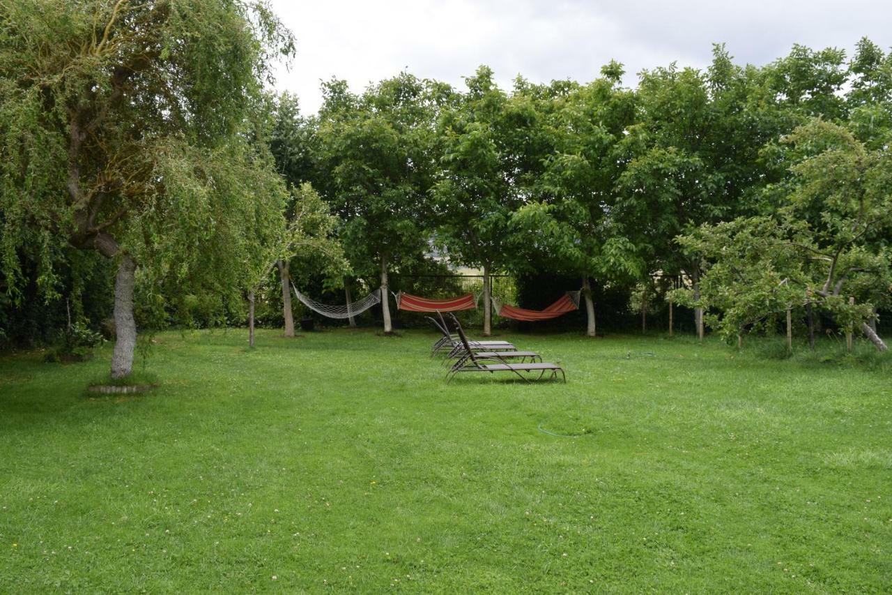 Casa Miguel Apartment Olea Екстериор снимка