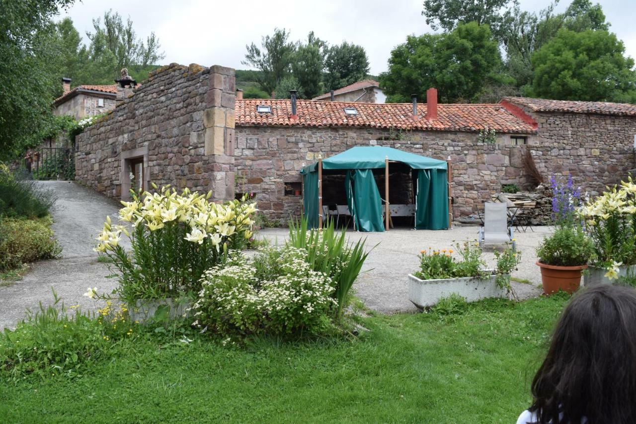 Casa Miguel Apartment Olea Екстериор снимка